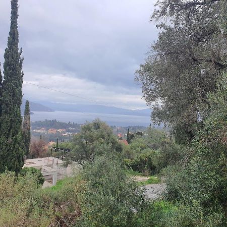 Bella De Lux Residence Κάτω Κορακιάνα Εξωτερικό φωτογραφία